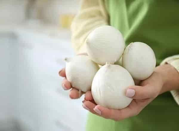 تصویر 5 از خرید و قیمت پیاز سفید جیرفت + فروش عمده